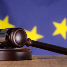 Euroorden y extradición: las claves jurídicas que separan la entrega en la Unión Europea del resto del mundo